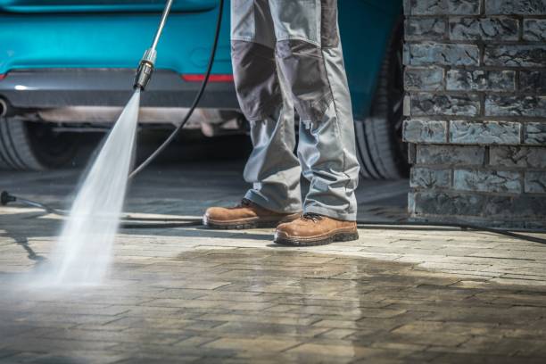 Best Pre-Holiday Cleaning  in Marlboro Meadows, MD