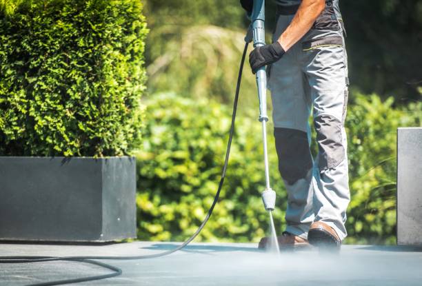 Best Patio and Deck Pressure Washing  in Marlboro Meadows, MD